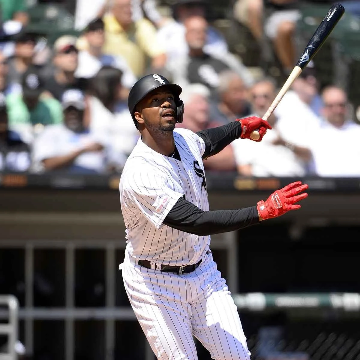 Louisville Slugger Prime Maple Baseball Bat EJ74 - Eloy Jimenez 4 Louisville Slugger Prime Maple Baseball Bat EJ74 - Eloy Jimenez - Image 2