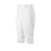 Mizuno Premier Short Pant 350280 -Baseball Store 350312 wh cd586a4d b369 4df5 b92c 54cacf1700ad