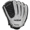 Rawlings RSB 14 Inch Slowpitch Softball Glove RSB140GB -Baseball Store RSB140GB PALM