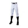 Rawlings Evoshield Salute Pinstripe Knicker Pants -Baseball Store WB6017901 0 Salute Pinstripe Knicker Pant Mens BL WH.png.cq5dam.web .1200.1200