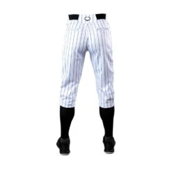Rawlings Evoshield Salute Pinstripe Knicker Pants -Baseball Store WB6017902 3 Salute Pinstripe Knicker Pant Mens NA.png.cq5dam.web .1200.1200